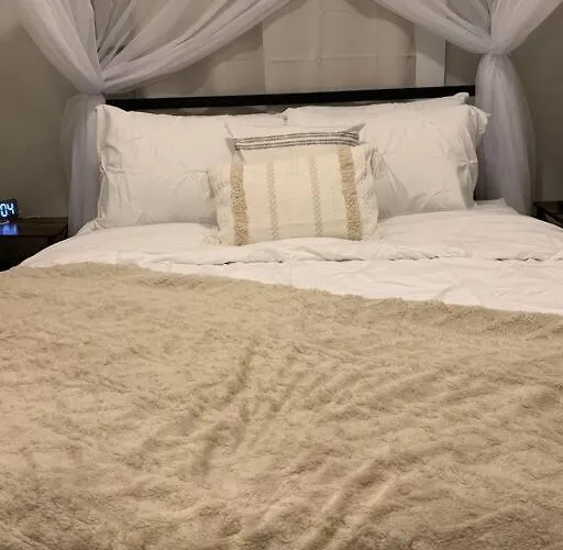 Be Our Guest Boho 2.0
